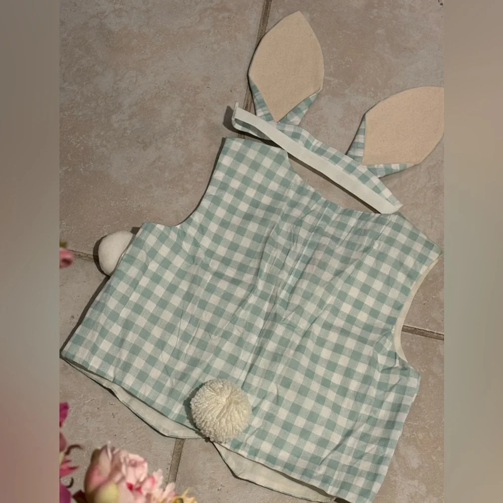🐰Meri Meri Dusty Mint Gingham 2-Piece Bunny Costume Vest & Ears Set O/S